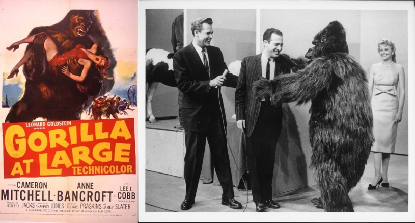 Publicity stills from Gorilla at Large Film and actor wearing suit 