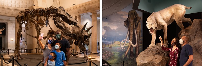 Left: Dueling Dinos at the Natural History Museum of Los Angeles County (NHM). Right: The museum at La Brea Tar Pits. Hancock Park, Los Angeles, CA. Photography by Gina Cholick. Courtesy of the Natural History Museums of Los Angeles County (NHMLAC).