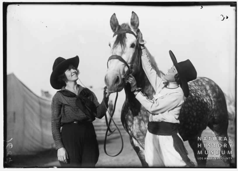 vintage horse image