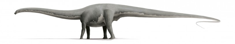 sauropod life reconstruction 