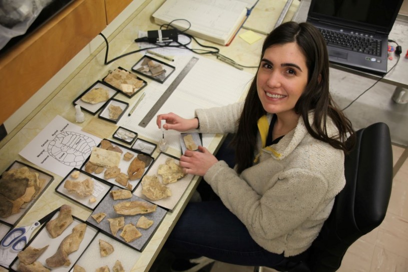 Woman sitting in desk holding fossils