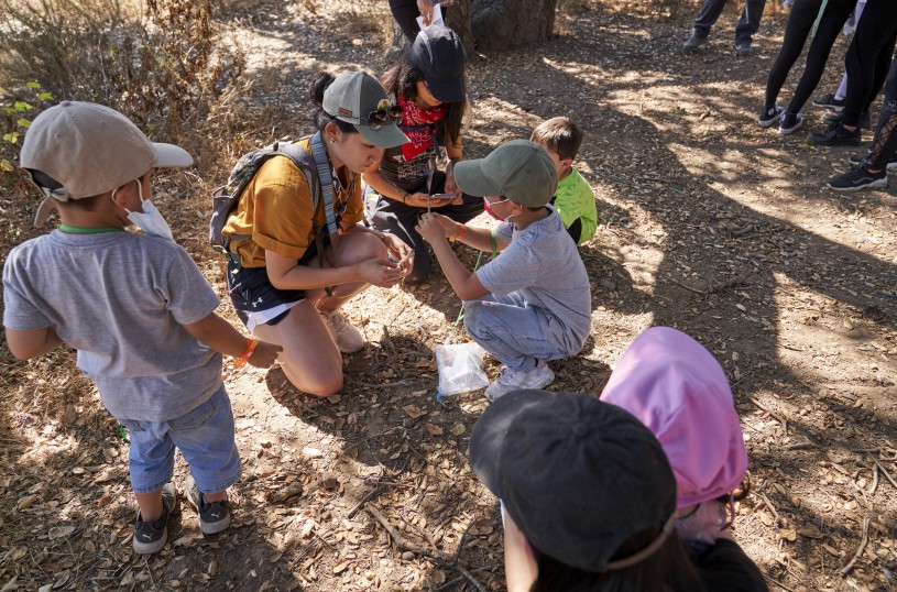 Dr. Suh teaching KFAM kids about feathers