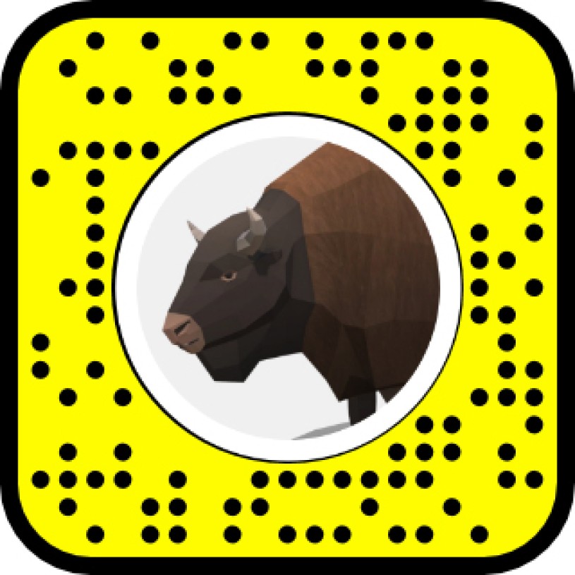 Ancient bison snapchat code