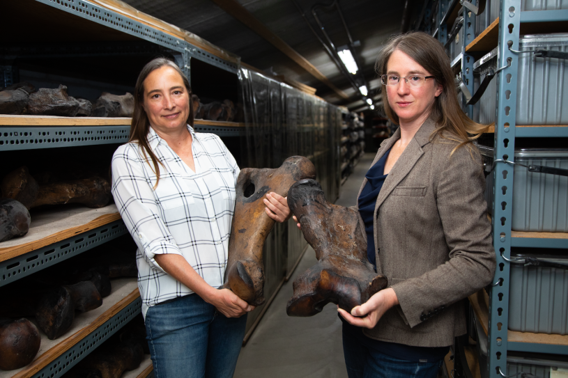 Regan Dunn and Emily Lindsey holding large Ice Age fossils in the La Brea Tar Pits collections