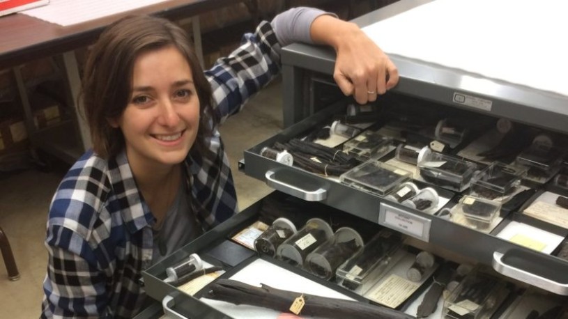 Jessie George leaning down by a cabinet with drawers of specimens pulled out