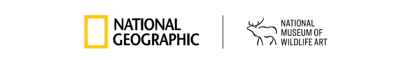 Yellow rectangle outline to the left of National Geographic next to an outline in black of a bison to the left of National Museum of Wildlife Art