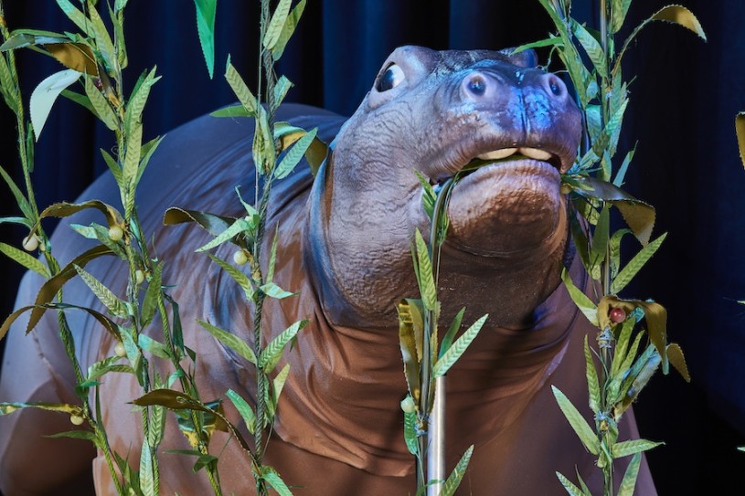 Desmostylian puppet eating kelp from Ocean Encounters