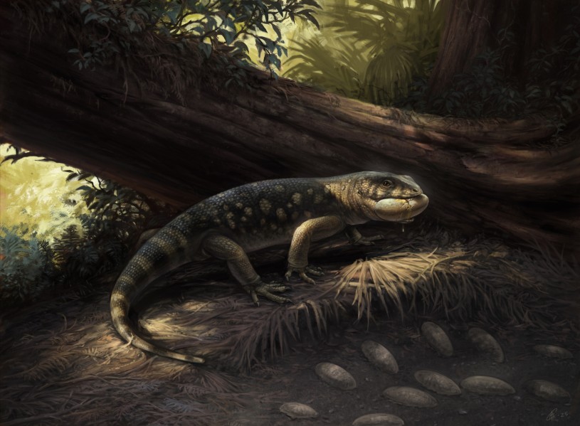 A life-like painting of a large lizard lurking over a nest of dinosaur eggs with one already in its mouth 