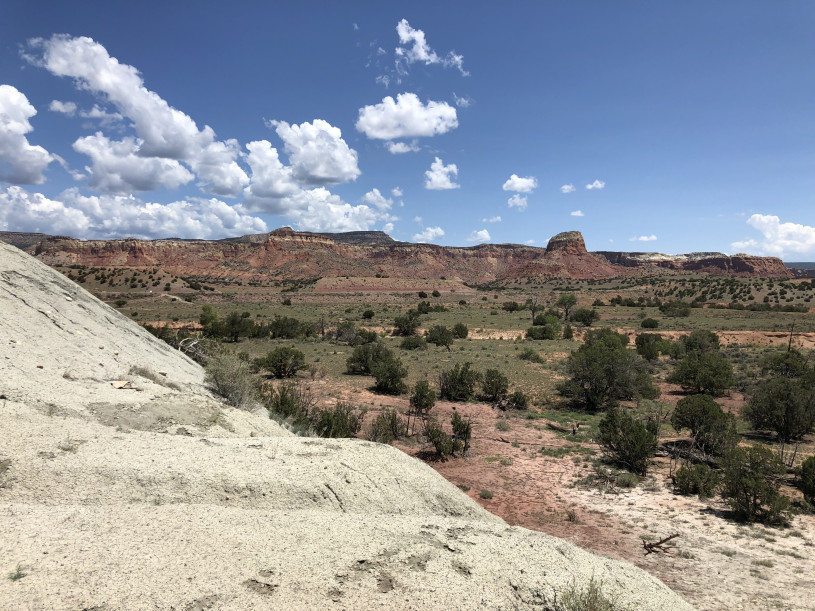 A scenic view of a desert with shrubs and a mesa in the background