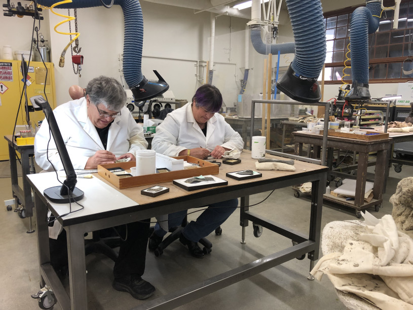 Two people in white lab coats handle fossils at a table