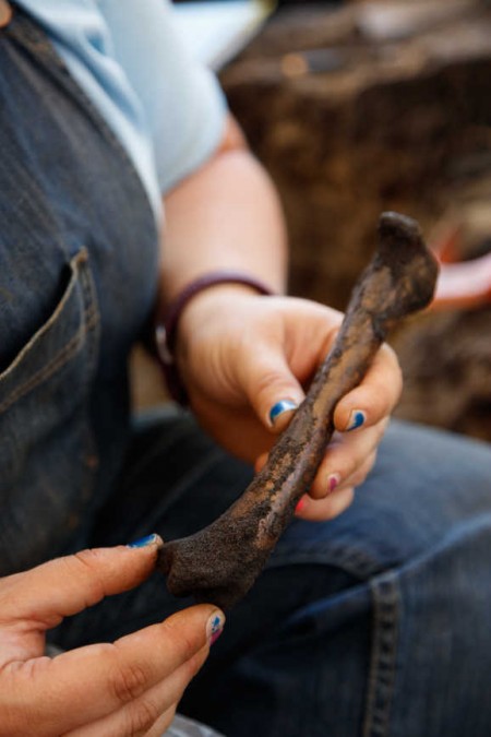 holding a fossil bone