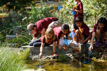 adventures in nature kids nature gardens pond 