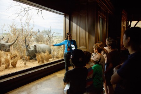 tour of african mammal hall diorama school group gallery interpreter