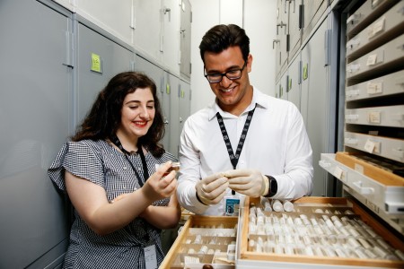 Two interns, one woman and one man show specimens in the malacology collections room