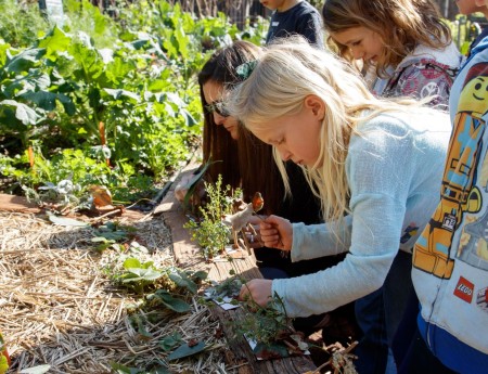 Students learn about habitats and making homes for insects in the Guided Program, "Growing Home," in the Nature Gardens.
