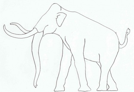 Outline of Columbian Mammoth in profile