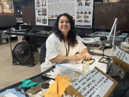 Volunteer Erin Cervantes seated at a table working with specimens in the Fossil Lab