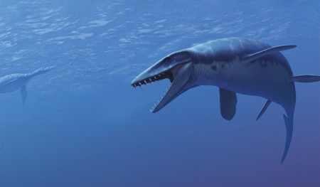 Plotosaur Mosasaur swimming in blue purple water